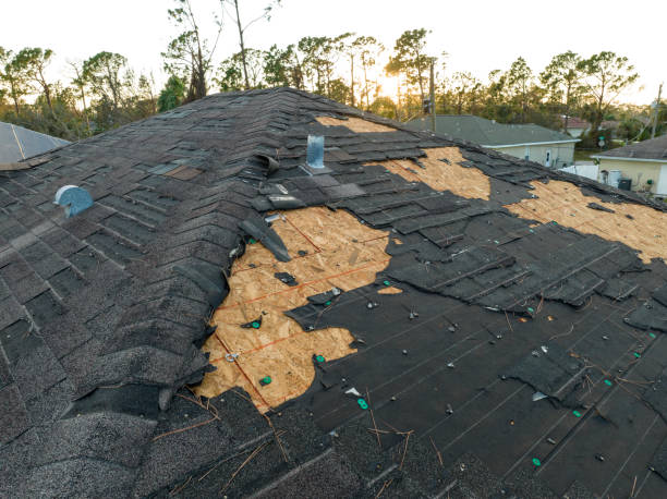 Professional Roofing service in Lake Ronkonkoma, NY